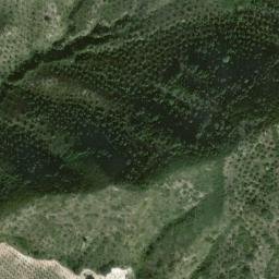 Satellite imagery of survey_point, DZ