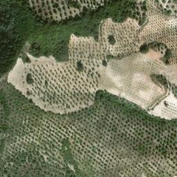 Satellite imagery of survey_point, DZ