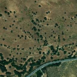 Satellite imagery of survey_point, DZ