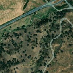 Satellite imagery of survey_point, DZ