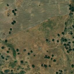 Satellite imagery of survey_point, DZ