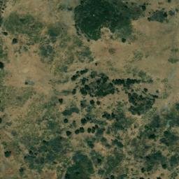 Satellite imagery of survey_point, DZ