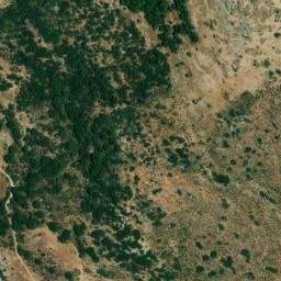 Satellite imagery of survey_point, DZ
