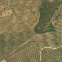 Satellite imagery of survey_point, DZ