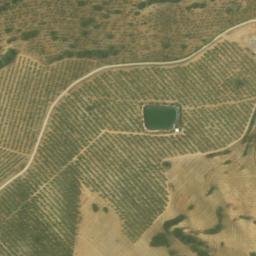 Satellite imagery of survey_point, DZ