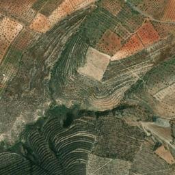 Satellite imagery of survey_point, DZ