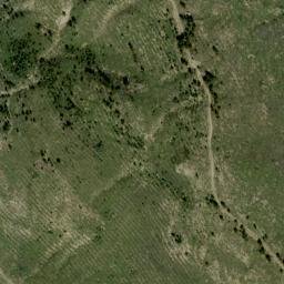 Satellite imagery of survey_point, DZ