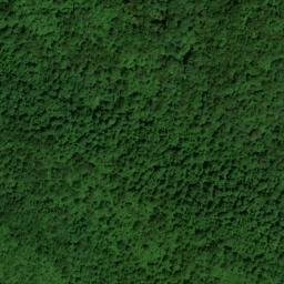 Satellite imagery of Bartley Ridge, US