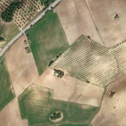 Satellite imagery of survey_point, DZ