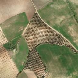 Satellite imagery of survey_point, DZ