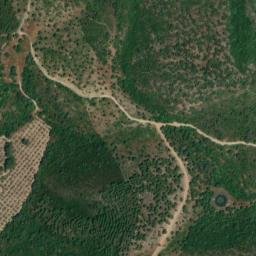 Satellite imagery of survey_point, DZ
