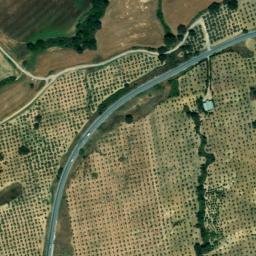 Satellite imagery of survey_point, DZ