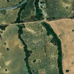 Satellite imagery of survey_point, DZ