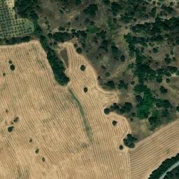 Satellite imagery of survey_point, DZ
