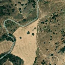 Satellite imagery of survey_point, DZ