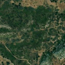 Satellite imagery of survey_point, DZ