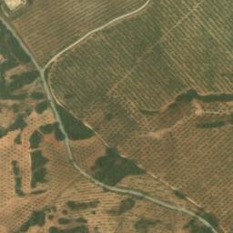 Satellite imagery of survey_point, DZ