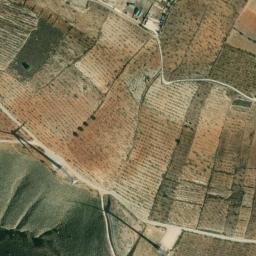 Satellite imagery of survey_point, DZ