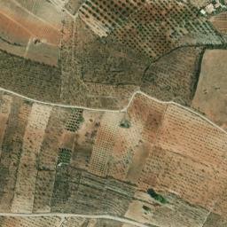 Satellite imagery of survey_point, DZ