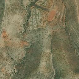Satellite imagery of survey_point, DZ