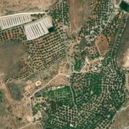 Satellite imagery of survey_point, DZ