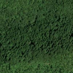 Satellite imagery of Kentucky Ridge, US