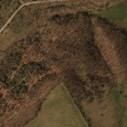 Satellite imagery of Cove Ridge, US