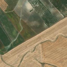 Satellite imagery of survey_point, DZ