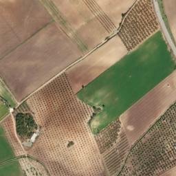 Satellite imagery of survey_point, DZ