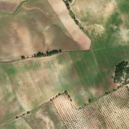 Satellite imagery of survey_point, DZ
