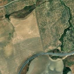 Satellite imagery of survey_point, DZ