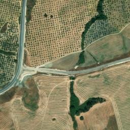 Satellite imagery of survey_point, DZ