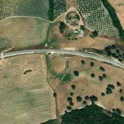 Satellite imagery of survey_point, DZ