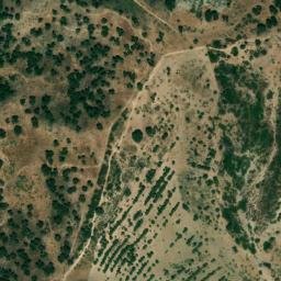 Satellite imagery of survey_point, DZ