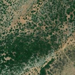 Satellite imagery of survey_point, DZ