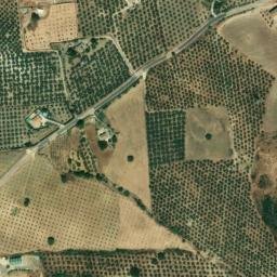 Satellite imagery of survey_point, DZ
