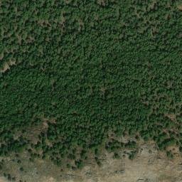 Satellite imagery of survey_point, DZ