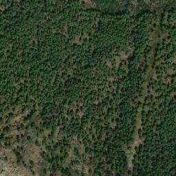 Satellite imagery of survey_point, DZ