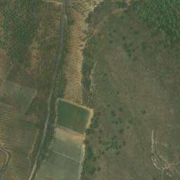 Satellite imagery of survey_point, DZ