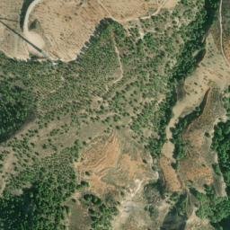 Satellite imagery of survey_point, DZ