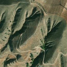 Satellite imagery of survey_point, DZ