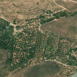 Satellite imagery of survey_point, DZ