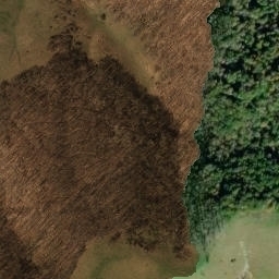 Satellite imagery of Cove Ridge, US