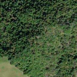 Satellite imagery of Cove Ridge, US