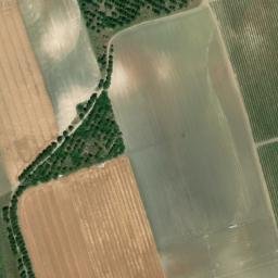 Satellite imagery of survey_point, DZ