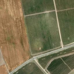 Satellite imagery of survey_point, DZ