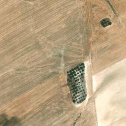 Satellite imagery of survey_point, DZ