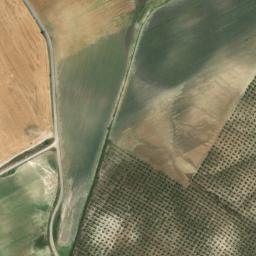 Satellite imagery of survey_point, DZ