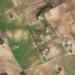 Satellite imagery of survey_point, DZ