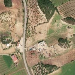 Satellite imagery of survey_point, DZ
